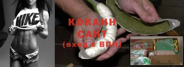 прущие крисы Алзамай