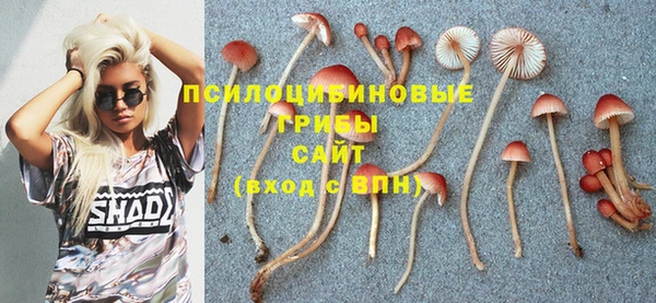 кристаллы Абаза