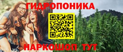 ECSTASY Гатчина