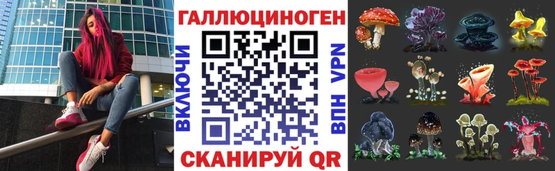 Псилоцибиновые грибы Cubensis  Мыски 