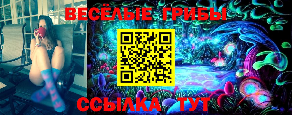 Псилоцибиновые грибы Cubensis  Галлюциногенные грибы Psilocybe  Вход с VPN  Мыски 